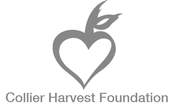 collier_harvest_foundation_grey